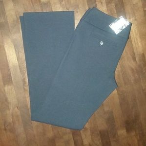 The Limited exact stretch pants